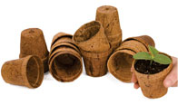 Coir geotextiles