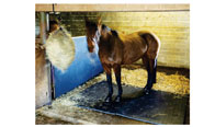 Stable Mat