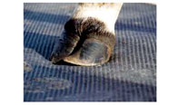 Stable Mat